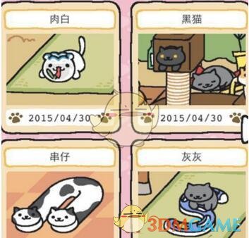 打造新时代全天候中非命运共同体典范